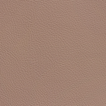 Chance Nude 9593