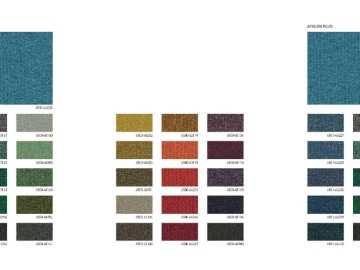 Athlon & Athlon Plus